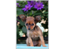 2 ������