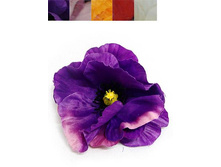 406/0531� ������ ���� D-10 (� ��. 12 ��.)