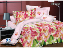 ����� �� �������