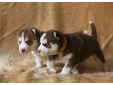 №4 ������� � №1 �������