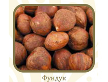 ������ ����..jpg