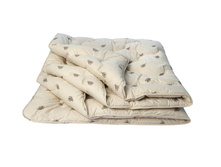 ��������� "���*��*���"������ ���*���*��� ���*���