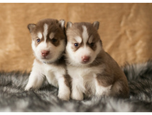 №3 ������� � №2 �������