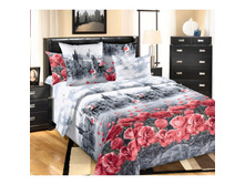 ��� ���� ����� �����.jpg