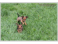 2 ������