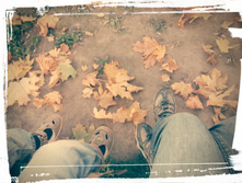 ����� ���� 25 �� 16 �� �������