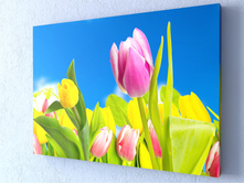 ������ ��������.jpg