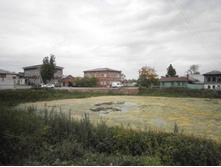 ������� ���� ����������