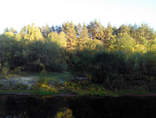 IMG 20150920 170535.jpg