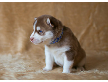 №3 �������