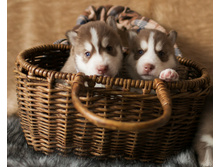 №3 ������� � №4 �������