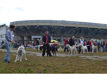 ���� �������