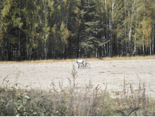 ��������.