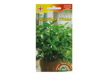 ������ ������ ������