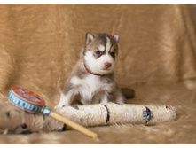 №2 �������