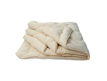 ��������� "���*�*���" ������ ��*�*�� ���*�*���