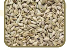 ������ ������������� ���������.jpg