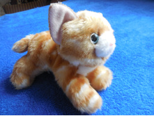 ������� ������, 50 ���