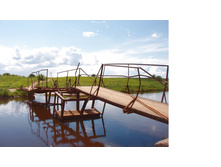 ���� ����� �������