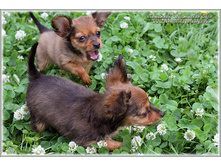 2 ������