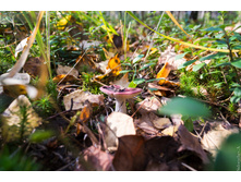  DSC9940.jpg