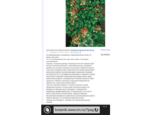 Wp ss 20150920 0003.png