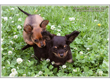 2 ������