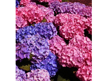 ��������� ����� ����-141�