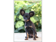 3 ������