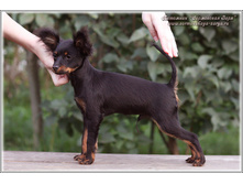 4 ������