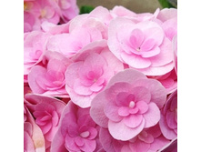 ��������� � ��� �� ���-197