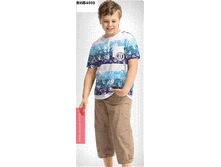 Image105.gif