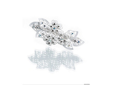 ������� PACP041409.jpg