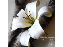 ����� �� ��������