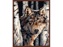 ������ ���� �������: GL5442 505 ������