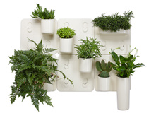 ���������� ��������� ������� �������� 2975 ���..jpg