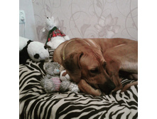 IMG 20150903 090255.jpg