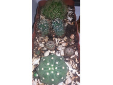20150903 211254.jpg