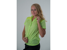 ������ BB-13.jpg