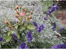 ������� ���������� � �������