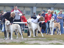 ���� �������