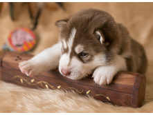 №3 �������