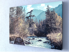 ������ �����.jpg