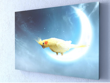 ������� �� ������.jpg