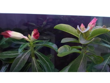 WP 20150925 19 35 01 Pro.jpg