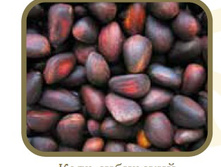 �������� ����� ���������.jpg