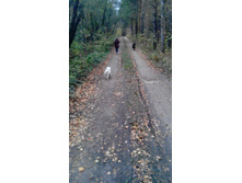 IMG 20150929 144111.jpg