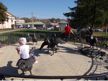 2015-09-27 11-39-36.jpg