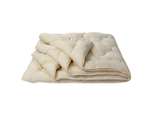 ��������� "���*�*���"  ������ ���*�*��� ��*��