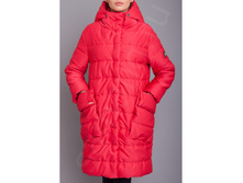 M373 , ���� 4.jpg